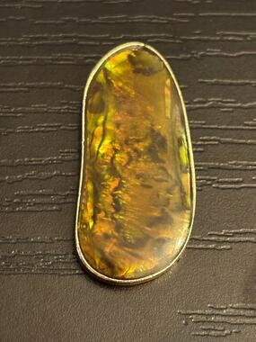 Vintage Abalone Iridescent Statement Pendant